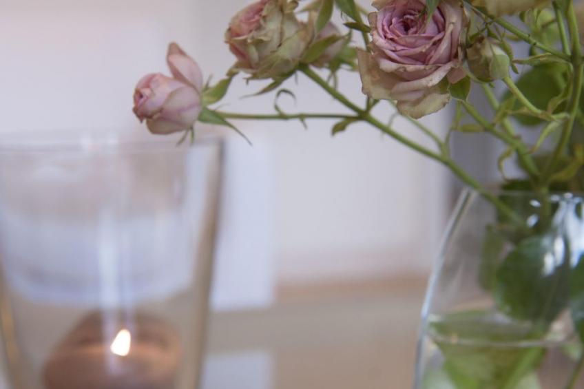 Wohlfühloase für Natur- und Gartenliebhaber - foto 14