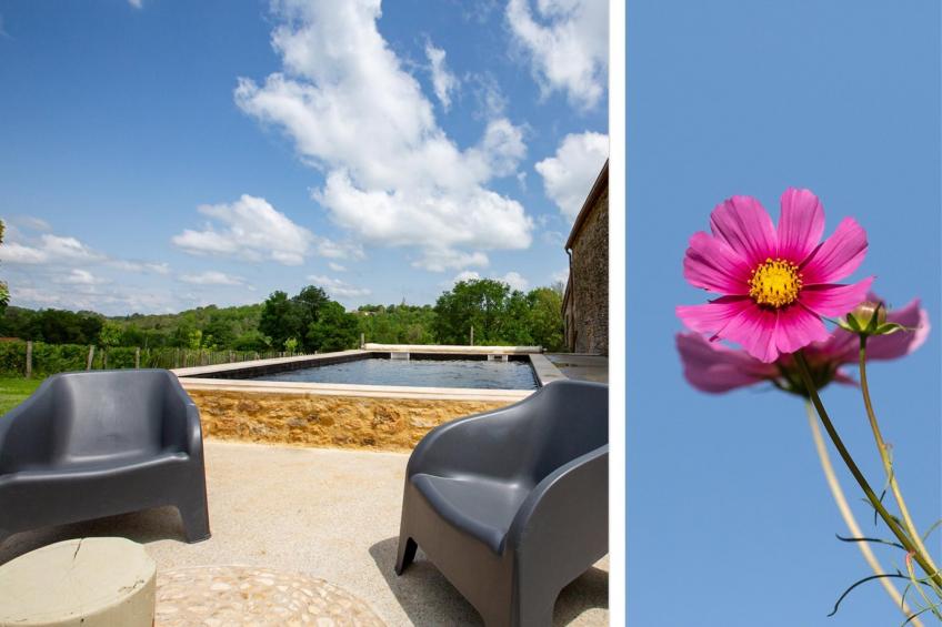 Le petit Nichoir - foto 28