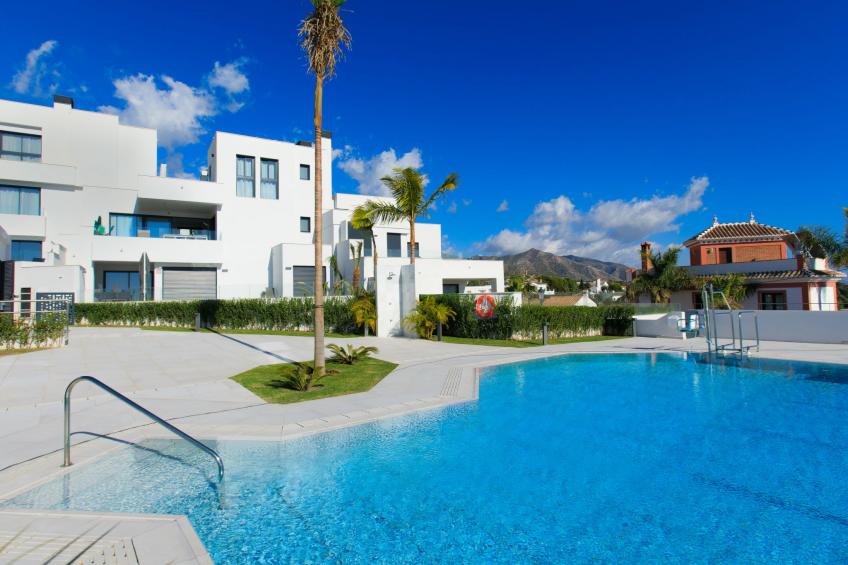 Royal Palm - foto 25