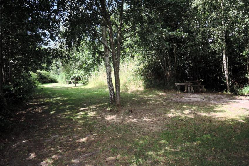 Pod świerkami pokój nr 1 dla 3 osób - foto 28