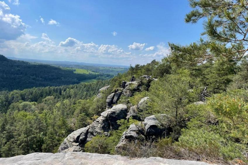 Ferienwohnung im Grünen Erdgeschoß - foto 29