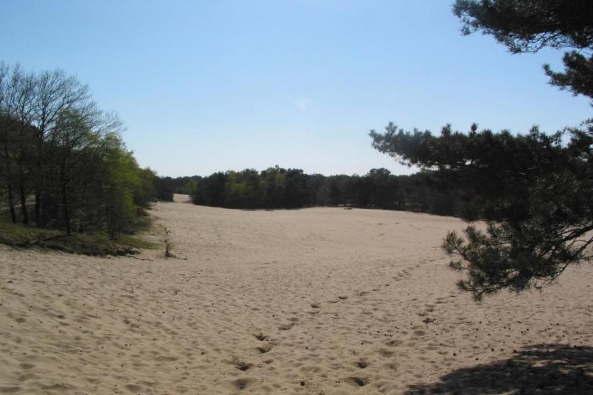 Vakantiepark Schaijk 9 - foto 37