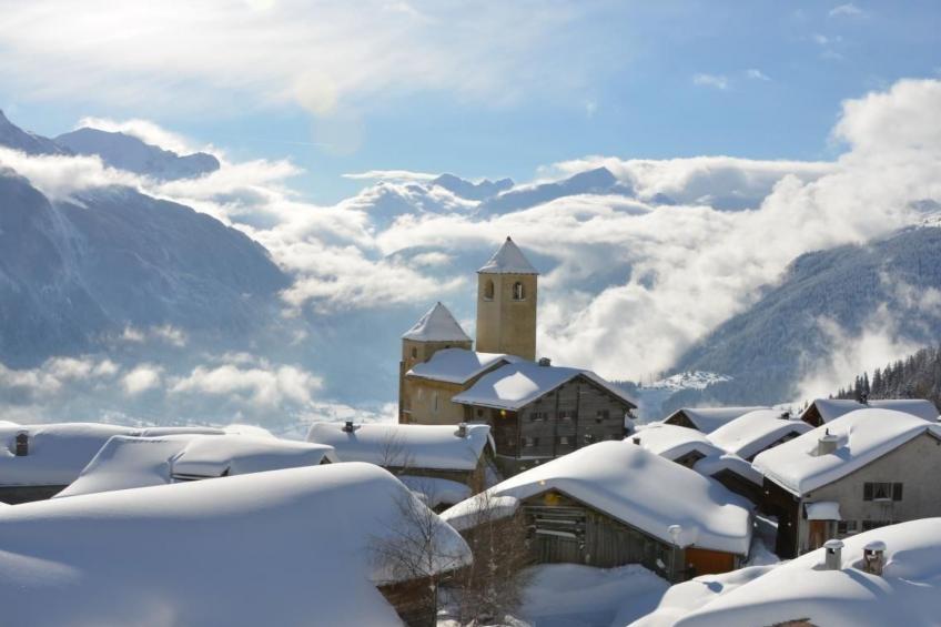 Biohof Furn - foto 8