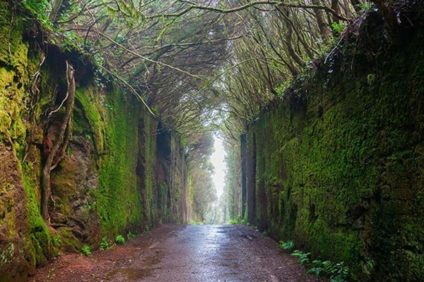 schöne Wohnung Radazul Meerblick - foto 45