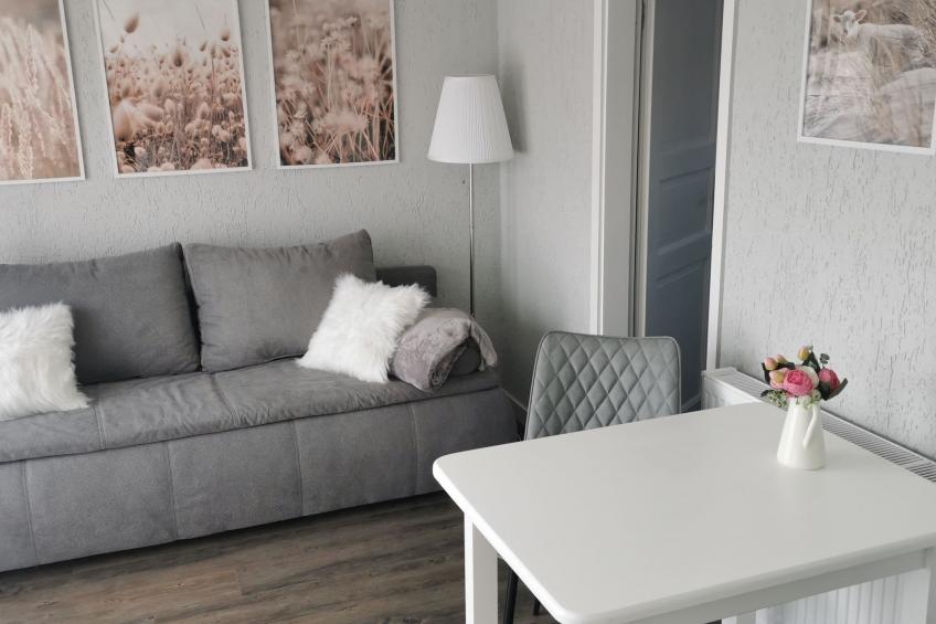 Boddenferienhaus - 13 Treibholz - foto 25