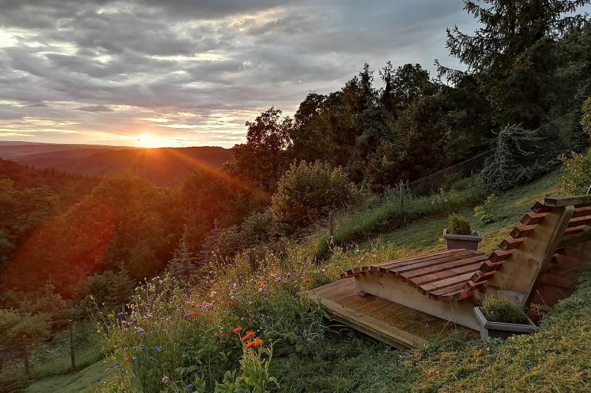 Am Waldrand - foto 29