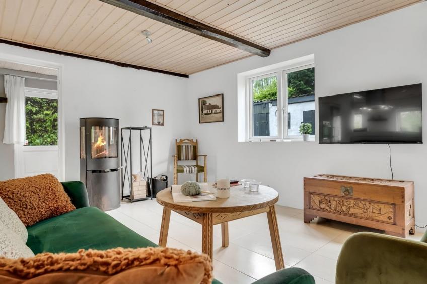 "Onida" - 5.5km from the sea in Sealand - foto 2