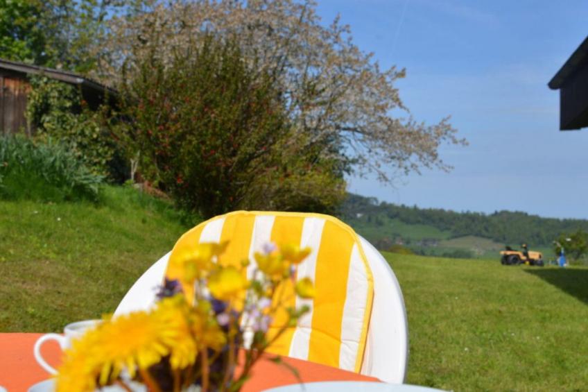 See in Sicht - foto 25