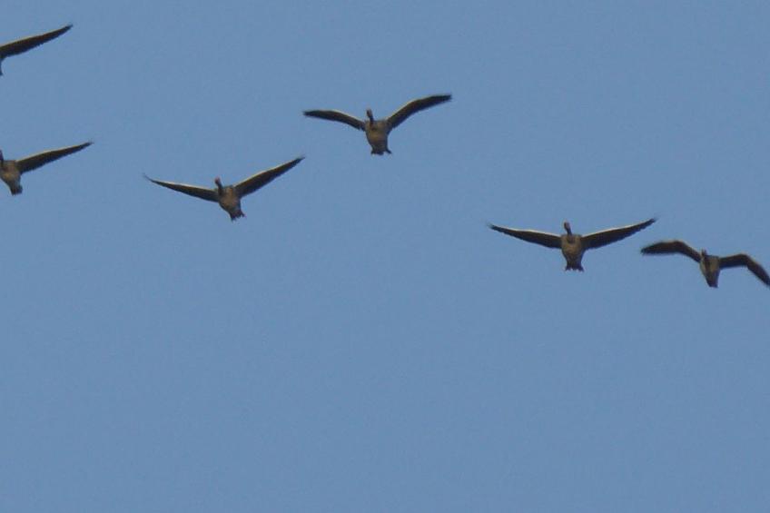 Galerie Mitte - foto 44