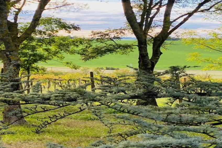 Fra Lorenzo - foto 30