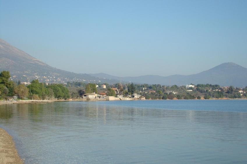 Studio mit Garten - foto 25