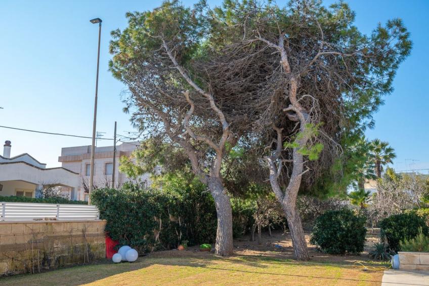 Villetta Pina 50 m vom Sandstrand und Parkplatz entfernt - foto 30