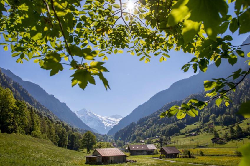 Haus bei Grindelwald