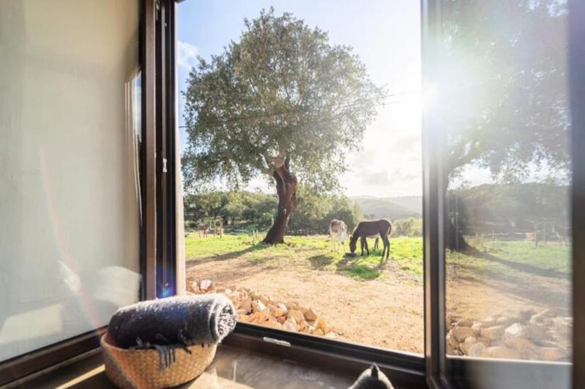 Casinha Da Paz - foto 7