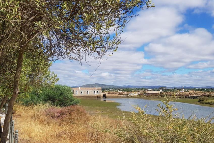 "Estrelinha da Fuzeta" - foto 18