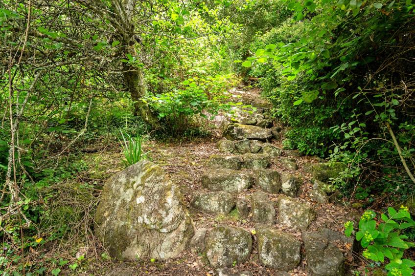 Tregatreath - foto 59