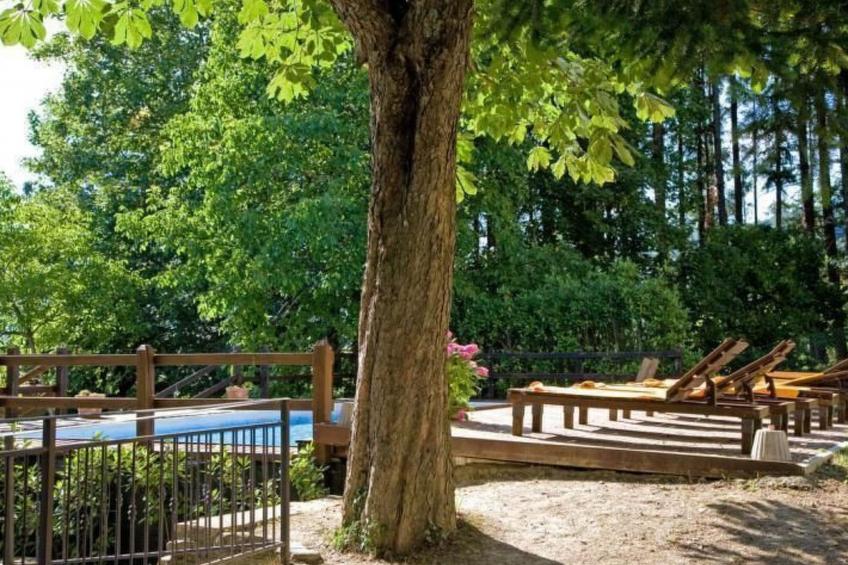 Wohnung in einer alten Villa mit Schwimmbad - foto 4