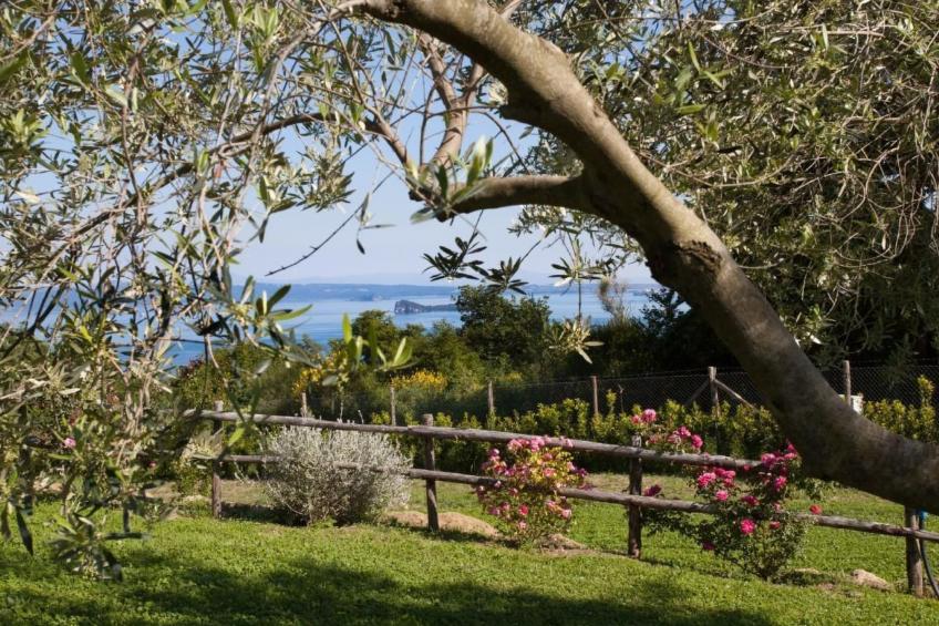 Freistehendes Haus mit privatem Pool - foto 22