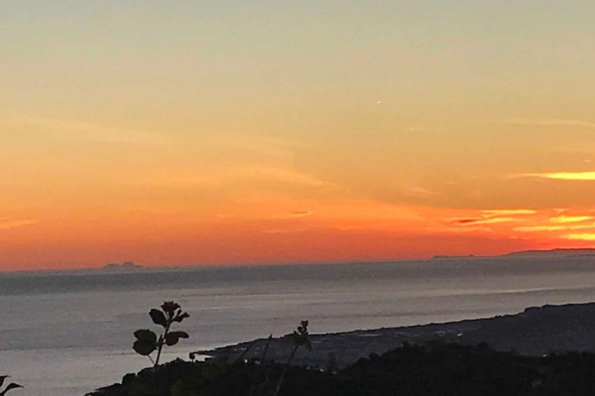 Casa Palmeras in Sayalonga mit Gepflegtem Garten - foto 15