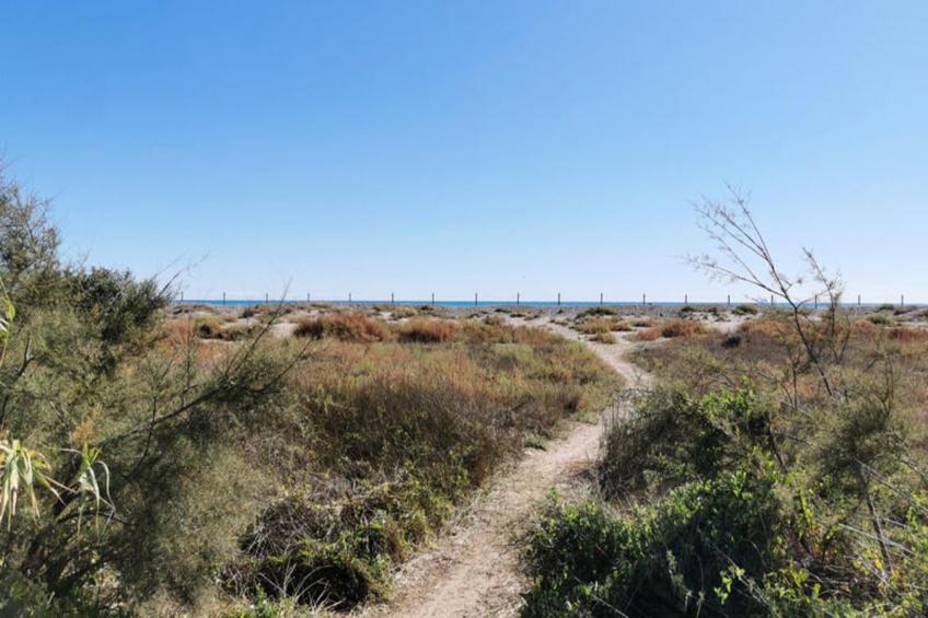 Appartements à Puerto de Sagunto - foto 39