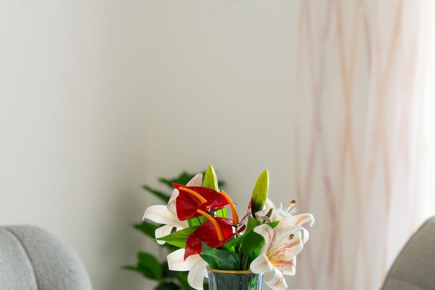 Villa SENKA - Four Bedroom Villa - foto 4