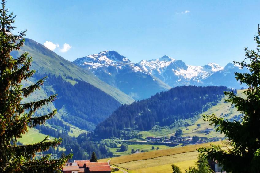Chalet Dargun Bünter, (Camischolas/Sedrun), 221./222./224./.01+.02+.03 - foto 34
