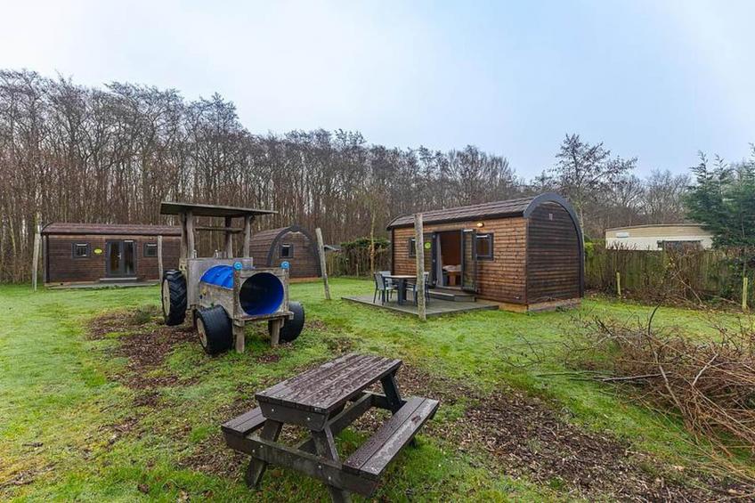 Duinhoeve Duinlodges 4pers (huisdiervriendelijk) - foto 4