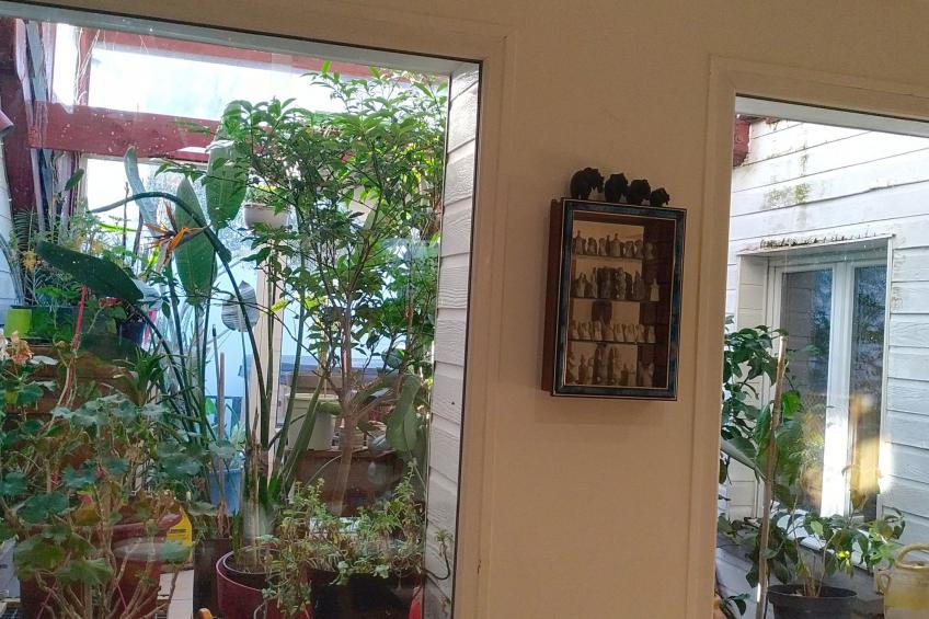 Le Paradis des Fleurs - foto 18