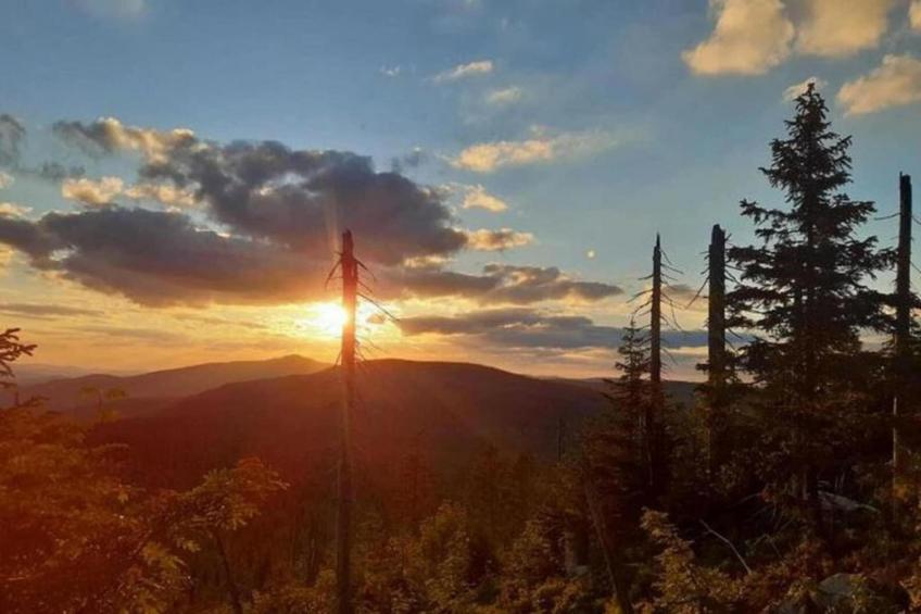 Im Bayerischen Wald - foto 27