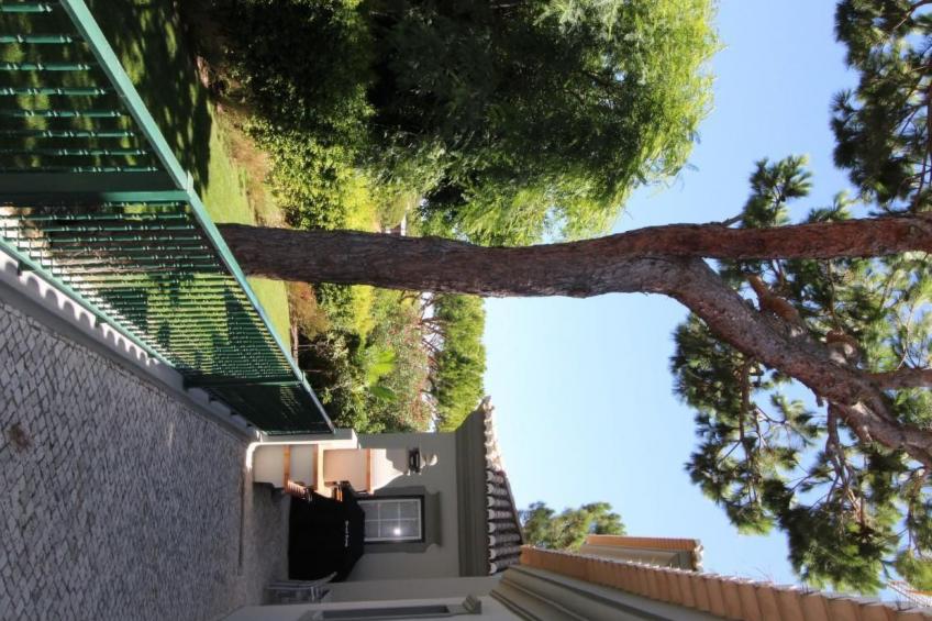 in Almancil mit Garten, Grill und Terrasse - foto 63