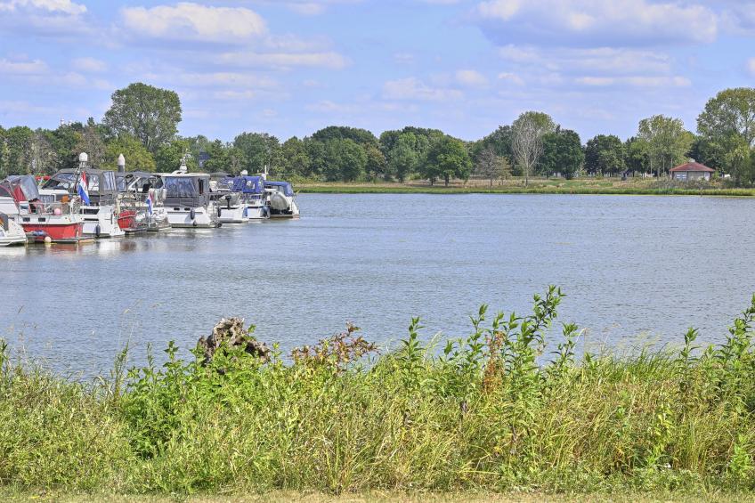 Rose Garden - foto 111