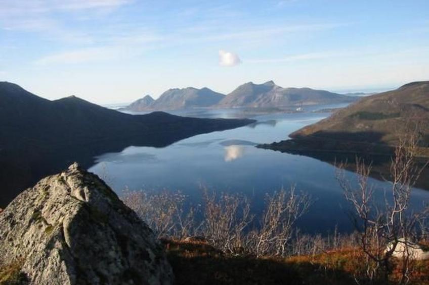 Nesset, Meløy Naturerlebnisse - foto 4