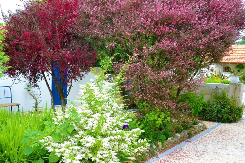 Quinta D'Avó Amélia, wunderschönes Landhaus zwischen den Bergen und dem Meer - foto 20