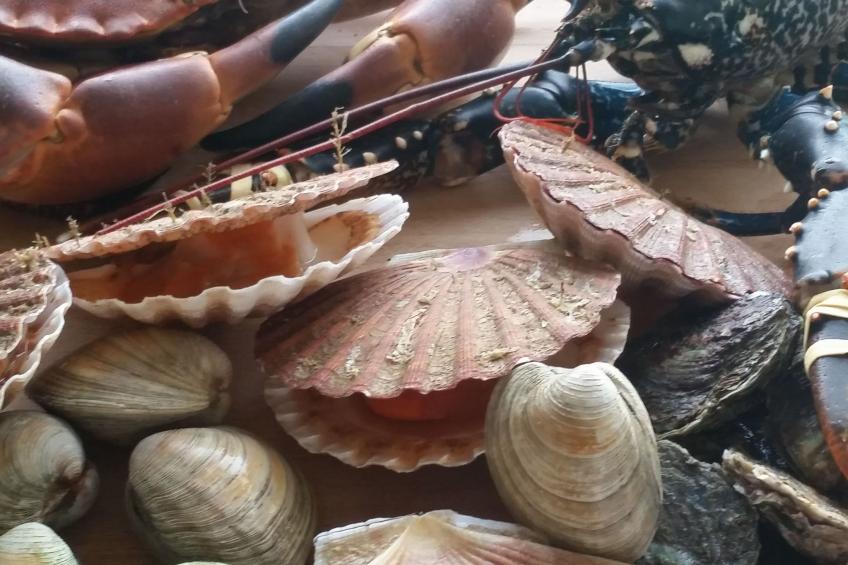 Villa Bellevue - foto 68