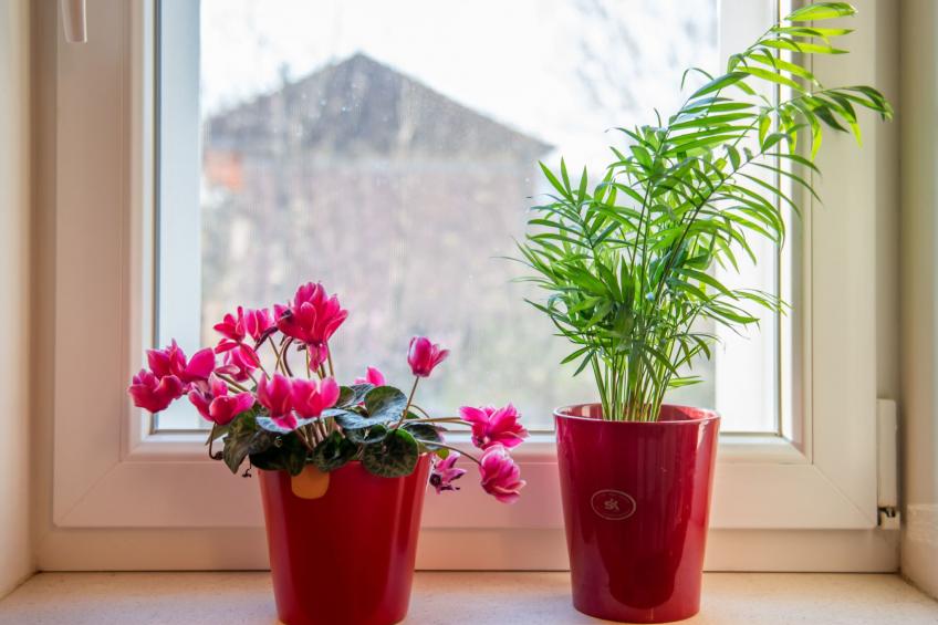 Gemütliches Ferienhaus Mia - foto 25