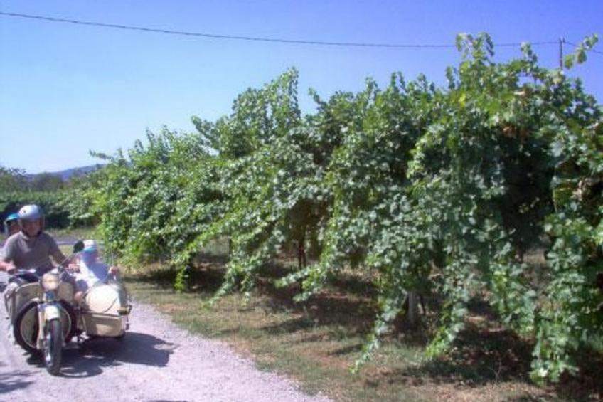 wohnung "Angelica" auf einem Bauernhof - foto 19