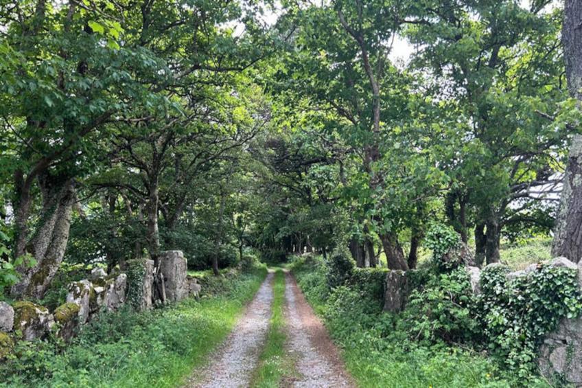 Maison à Rosmuck - foto 31