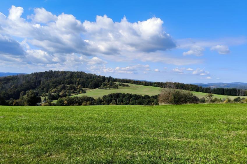 Am Springelbach - foto 20