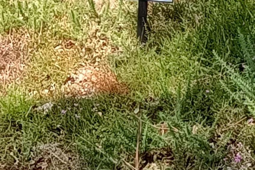 Chalet B10 Yemanisi in der Dordogne - foto 32