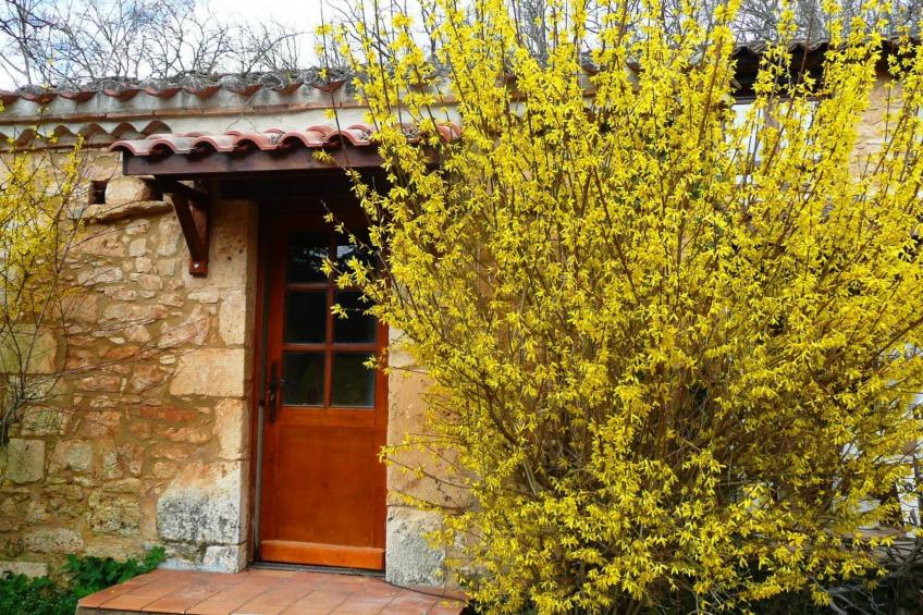 Domaine "Le Fournil" mit Jacuzzi - foto 9