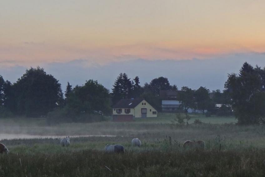 207617 - foto 24