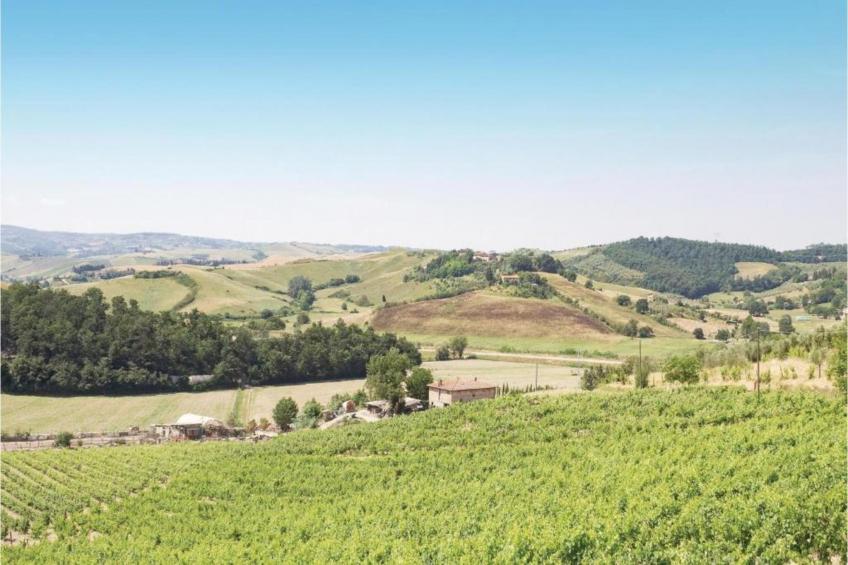 Gaville Cinque - foto 33