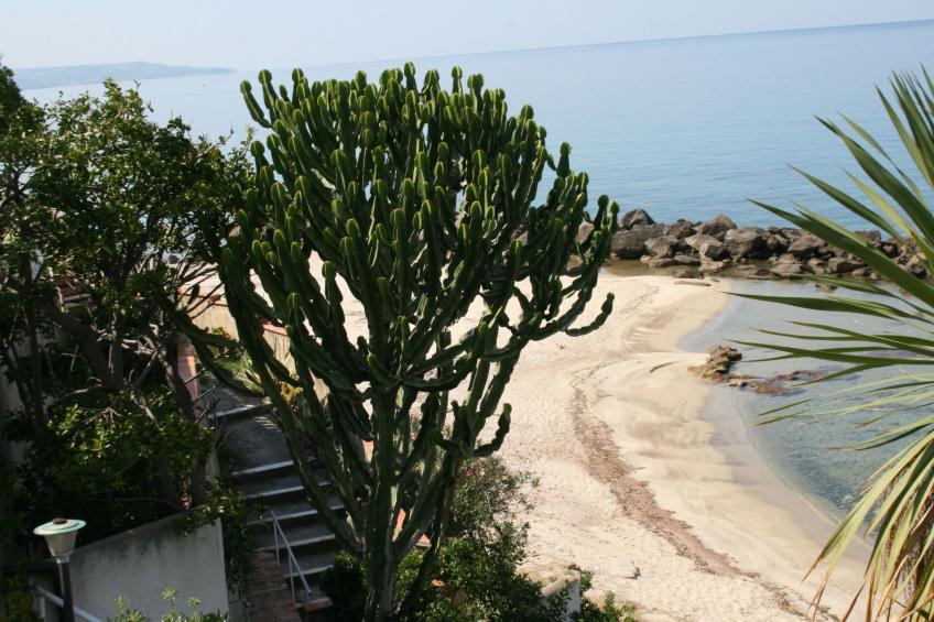 Villa Laura am Meer - P1 - foto 2