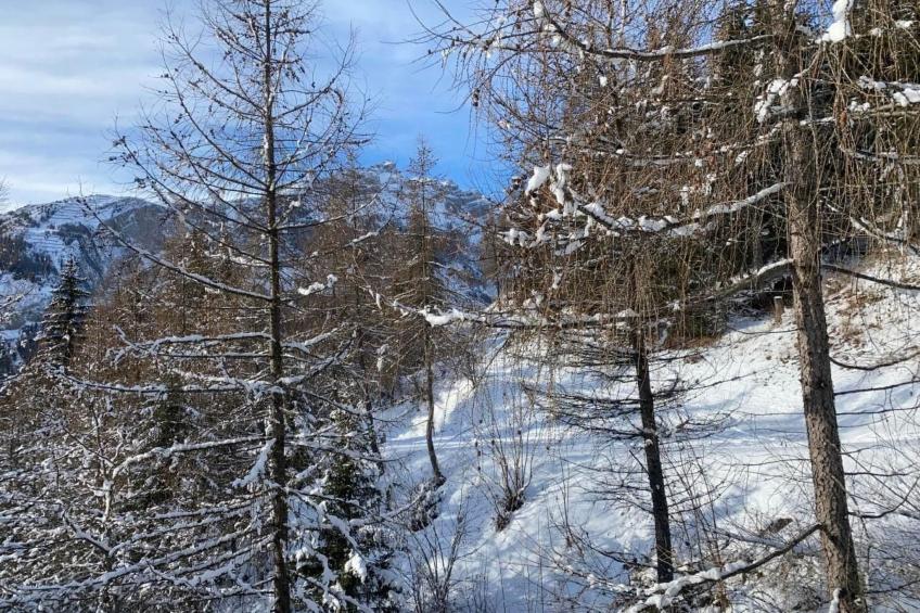 Chalet Abendstern - foto 29