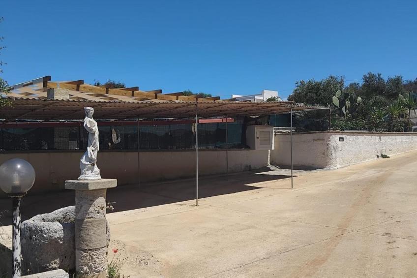 Felloniche Studio Sea View - foto 3