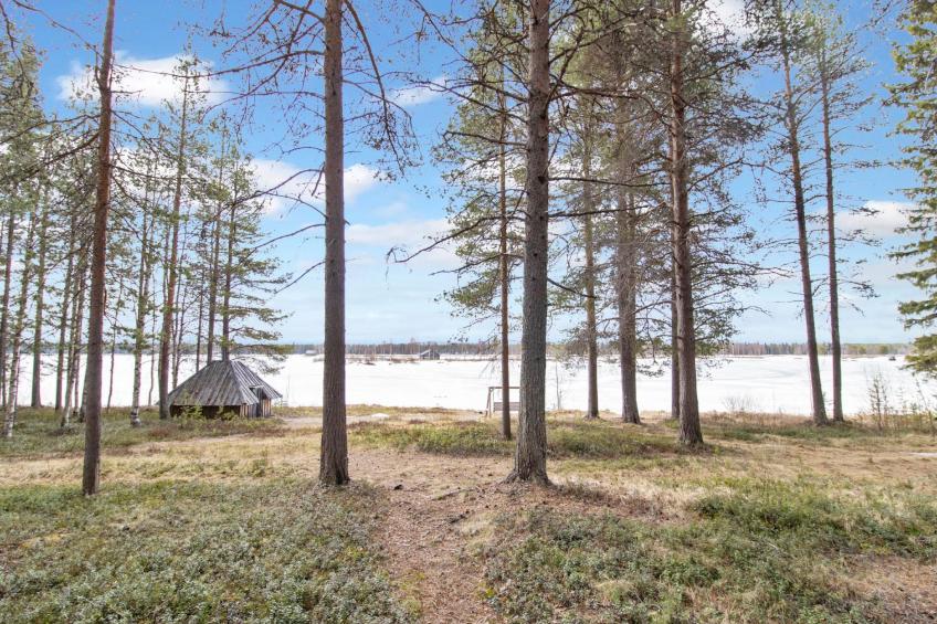 Kelopirtti - foto 19