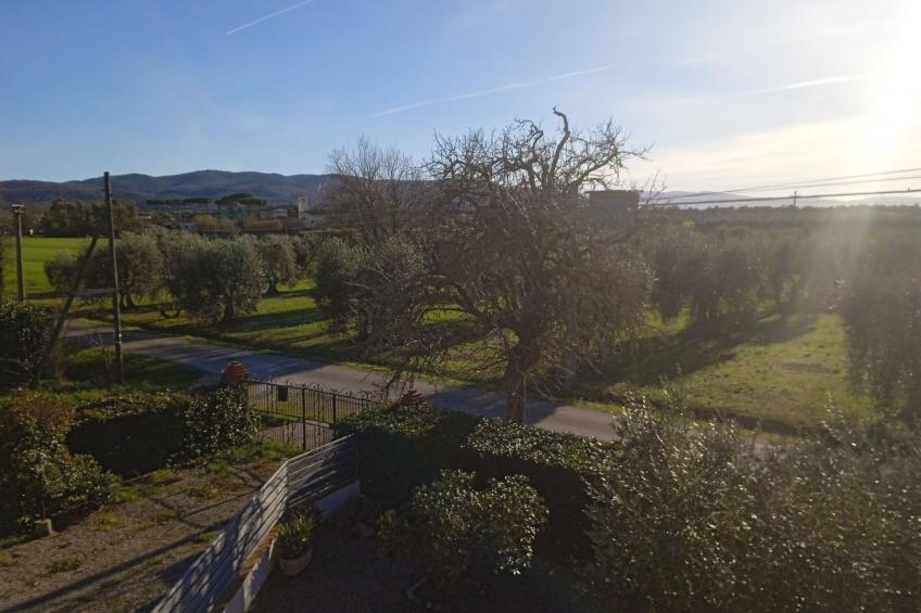 der Birnbaum - foto 8