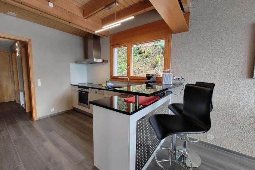 Villa Seelisberg mit Jacuzzi und Panoramablick - foto 15