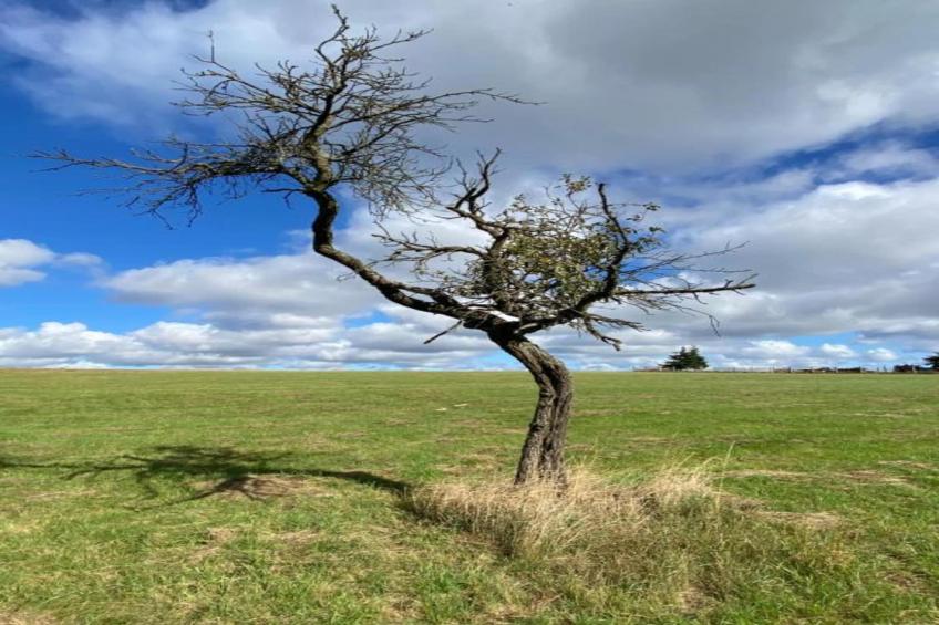 Holzhaus Andi - foto 27