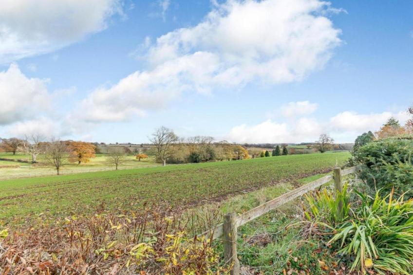 The Pig Barn - foto 19